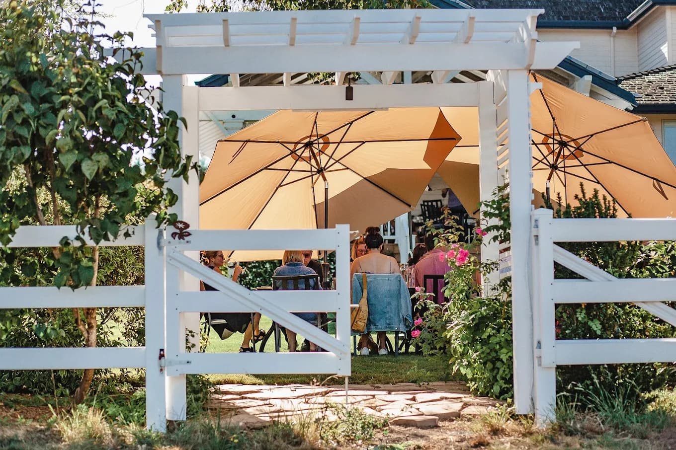 Benza Vineyard tasting experience, Laurelwood District AVA, Willamette Valley Oregon