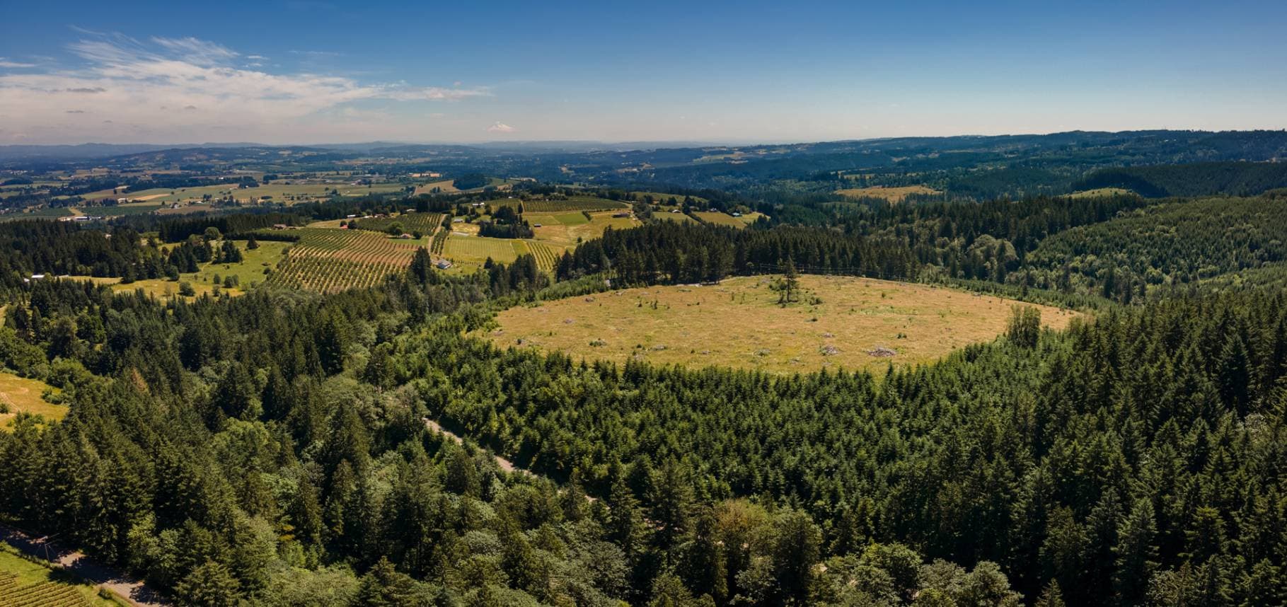 Laurelwood District AVA vineyards — newest Willamette Valley nested wine region, Oregon