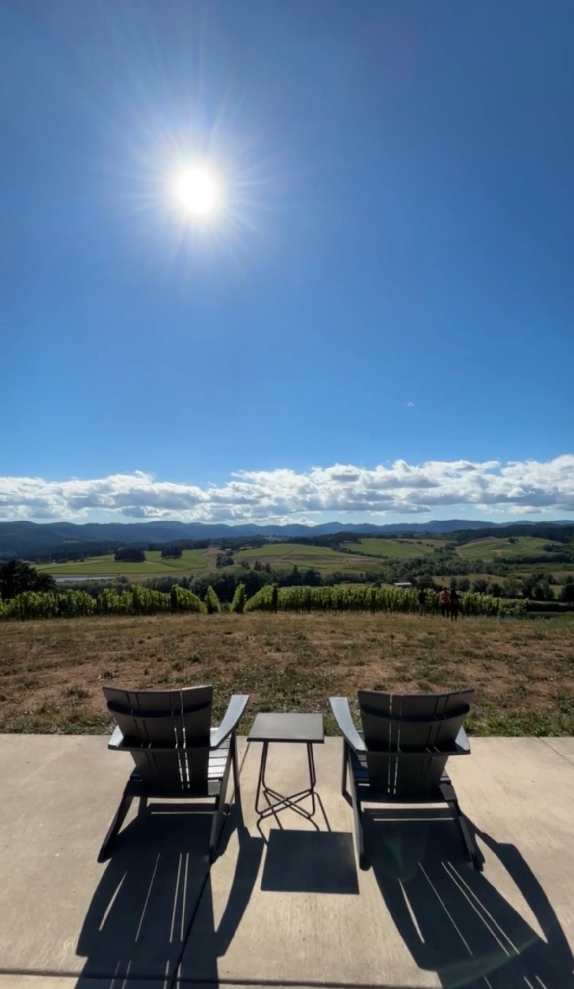 Résonance Estate Tasting in the Yamhill-Carlton AVA Oregon