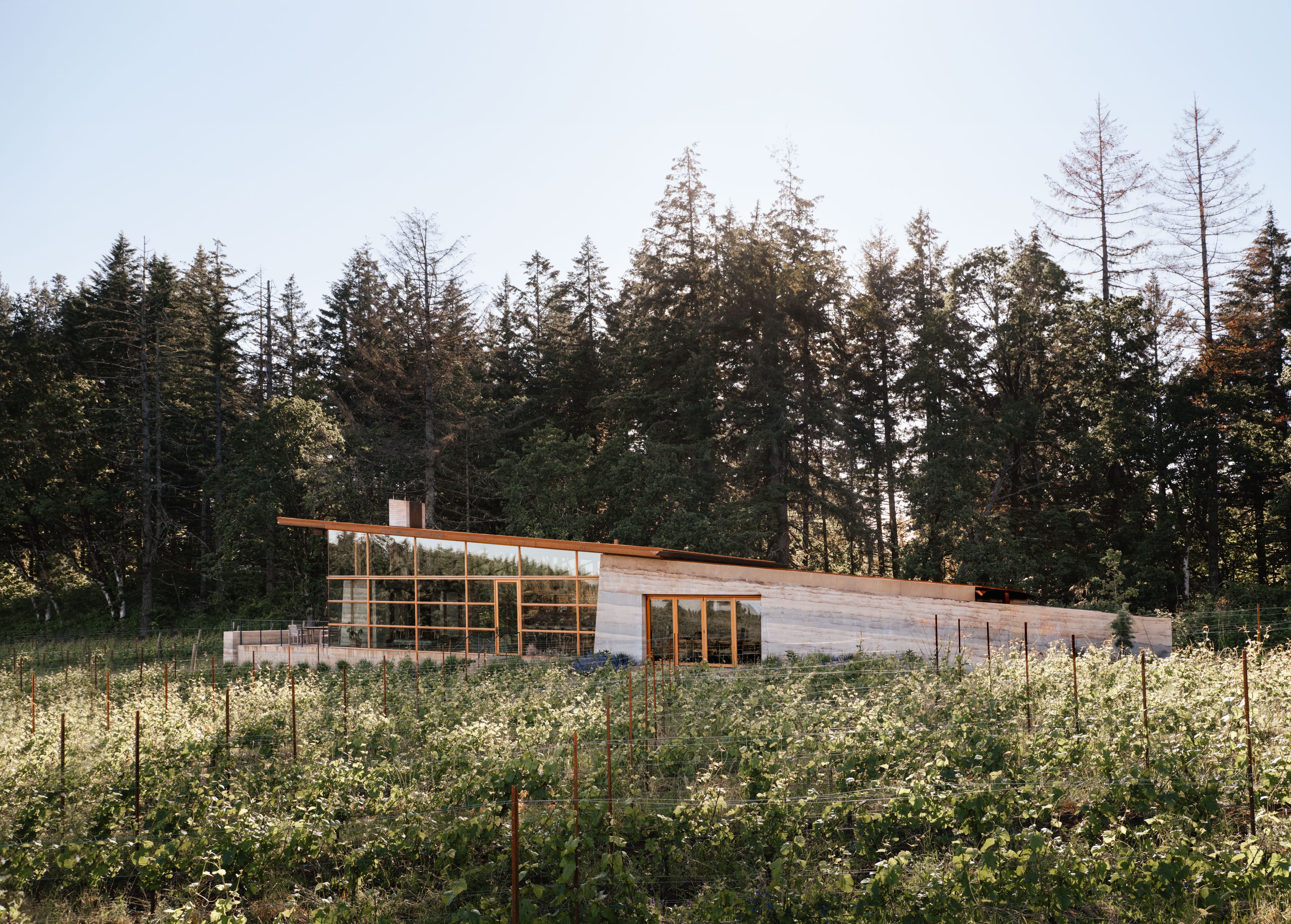 Long lunch at Rodeo Hills in the Dundee Hills Oregon wine country