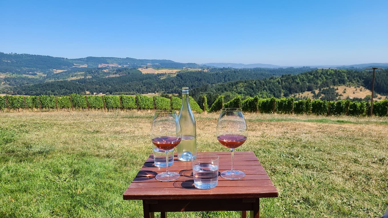 Two wine glasses at a boutique Willamette Valley winery on a private couples Oregon wine tour