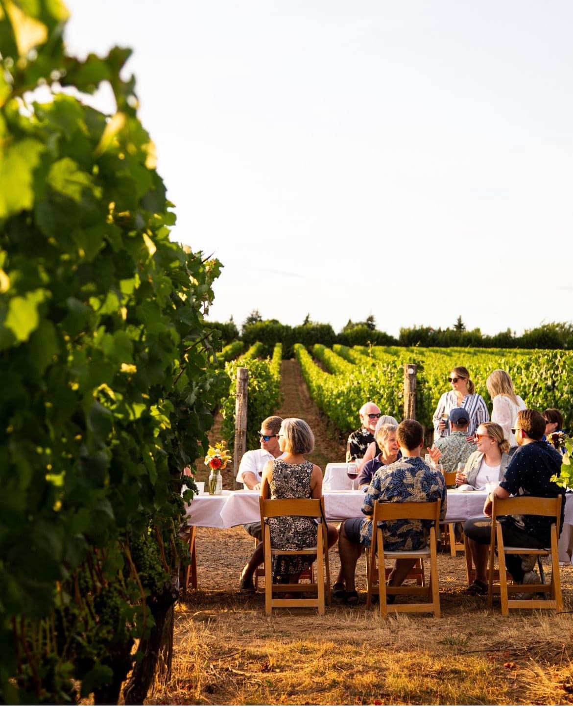 Fine dining and wine pairing at an Oregon wine country vineyard
